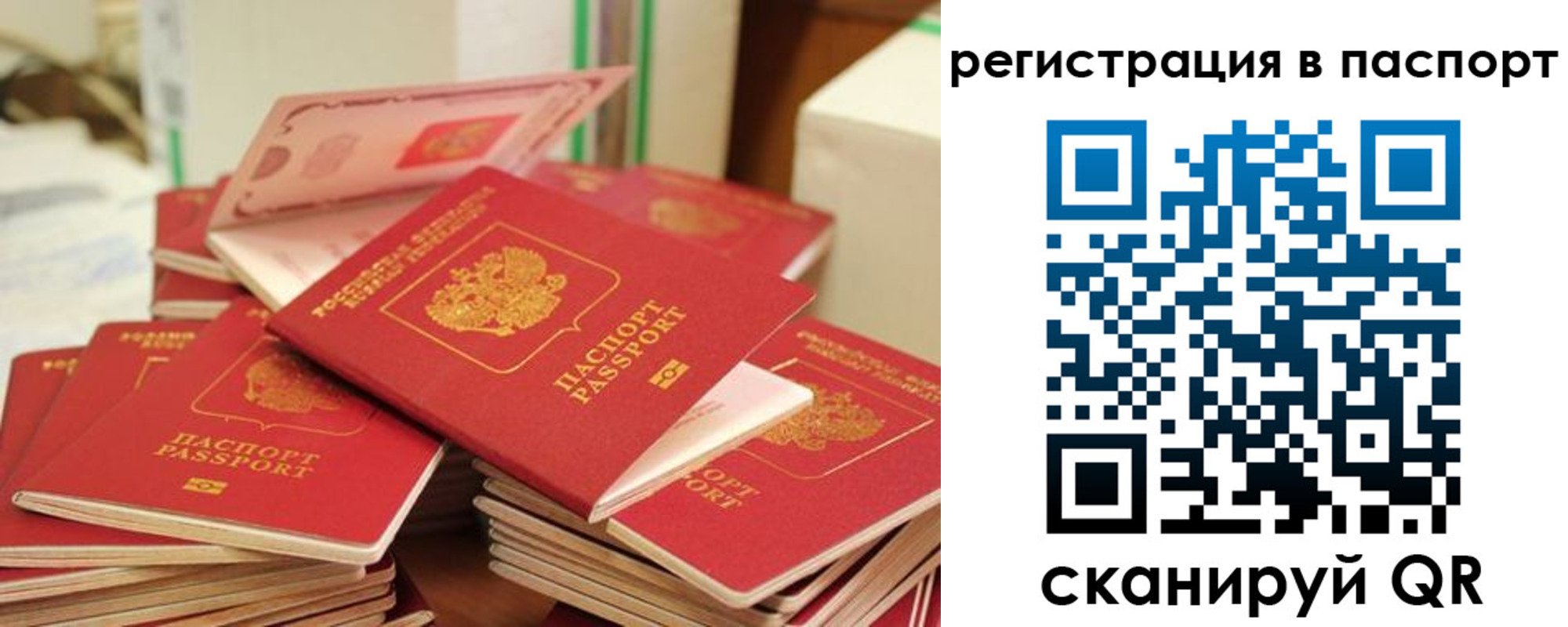 регистрация для школы в Бронницах